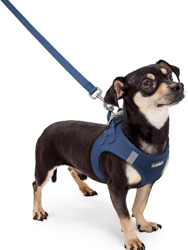 Miniatura 112 de rabbitgoo Juego de arnés para perro de tamaño pequeño y correa, chaleco ligero suave para cachorro, arnés de malla transpirable para mascotas