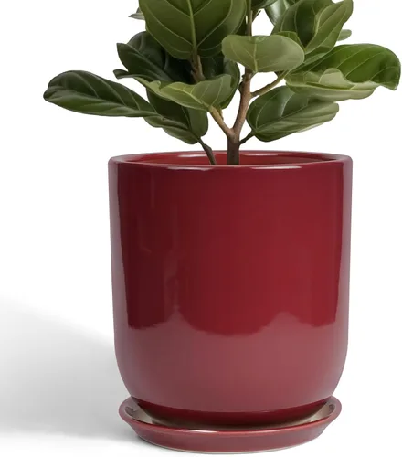 Miniatura 11 de Maceta de Cerámica para Plantas de Interior de 5 Pulgadas - Maceta Redonda para Plantas Suculentas con Agujero de Drenaje y Platillo, Decoración