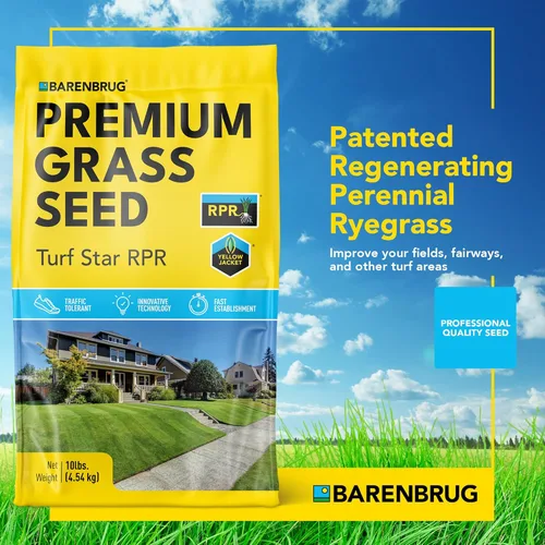 Miniatura 2 de Barenbrug Turf Star Semilla de césped regenerante de raigrás perenne con revestimiento Yellow Jacket, mezcla de semillas de césped de acción rápida