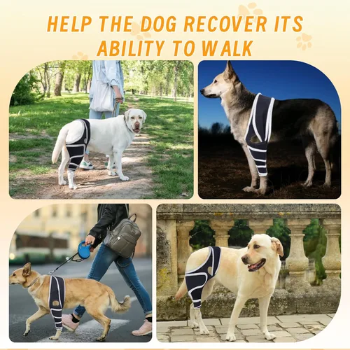 Miniatura 4 de Rodillera ajustable para perros – Soporta lesiones de Acl y Ccl, ayuda a aliviar el dolor en las articulaciones, estabiliza los ligamentos, mejora