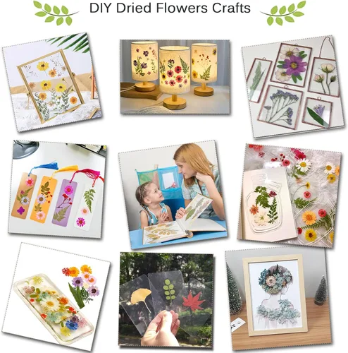 Miniatura 6 de Rhykoka Kit de prensa de flores grandes para adultos, 10 capas de 11.8 x 8.3 pulgadas, kit de prensa de plantas de hojas de madera, gran regalo