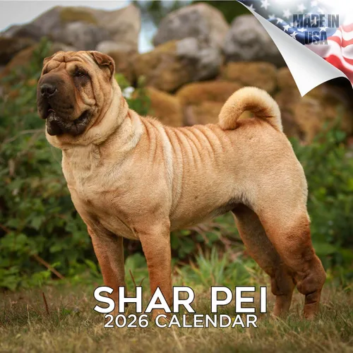 Miniatura 89 de Calendario 2025 2026 de cachorros Cocker Spaniel - Calendario mensual de pared de raza de perro - 12" x 24" abierto - Papel grueso sin sangrado
