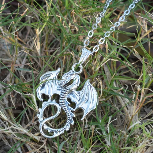 Miniatura 4 de DALUNDREAMLI Personalized Fierce Animal Dragon Necklace Dragon Jewelry Infinite Charm Friendship Necklace Pendants Gift