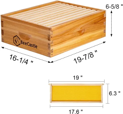 Miniatura 2 de BeeCastle Caja de colmena mediana de miel con 10 marcos de colmena y hojas de base revestidas de cera de abeja