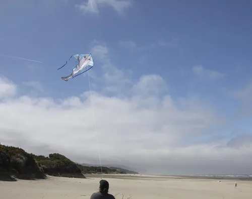 Miniatura 3 de In the Breeze Sea Life Fly-Hi Kite, cometa de una sola línea, tela Ripstop, línea y bolsa incluidas