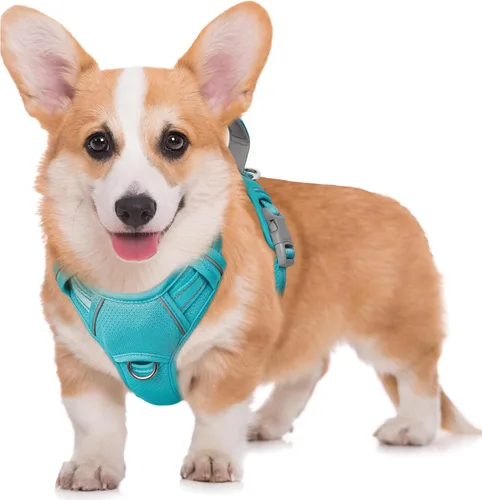 Miniatura 87 de BARKBAY Arnés para Perro Sin Tirones Talla Grande Arnés Reflectante para Perro con Clip Frontal y Asa de Control Fácil para Caminar Entrenar Correr