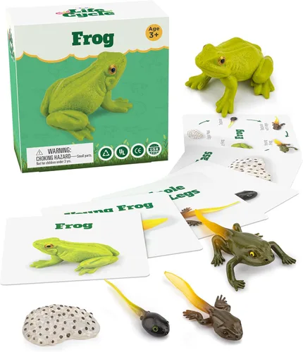 Kit de ciclo vital Montessori - Juguetes de figuras realistas, animales de rana a juego de animales, rellenos de cesta de Pascua para niños,
