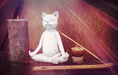 Miniatura 4 de Estatua de gnomo para jardín, de Funny Guy Mugs, talla única Gato del dedo medio