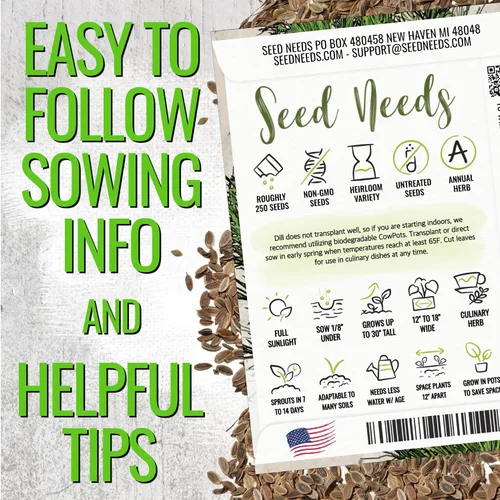 Miniatura 4 de Seed Needs Semillas de eneldo para plantar ramos de hierbas, semillas de hierbas sin OMG y sin tratar para plantar un jardín cultivado en casa