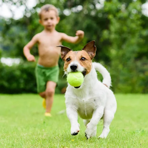 Miniatura 7 de Pelota de entrenamiento de tenis con cuerda, pelotas de entrenamiento de tenis, herramienta de entrenamiento de práctica personal, equipo de 6 piezas
