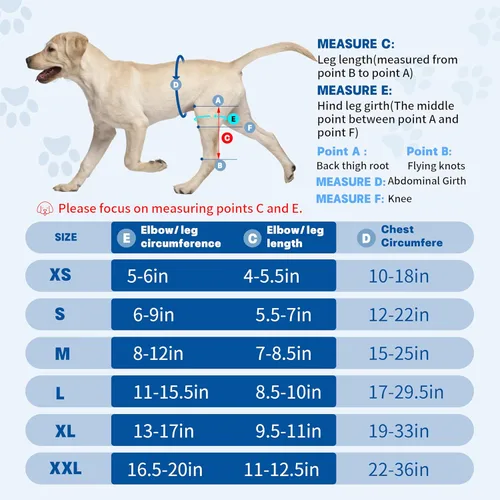 Miniatura 7 de Rodillera para perro de 4 patas, rodillera ajustable para perro con material reflectante, proporciona un fuerte apoyo para perros pequeños, medianos
