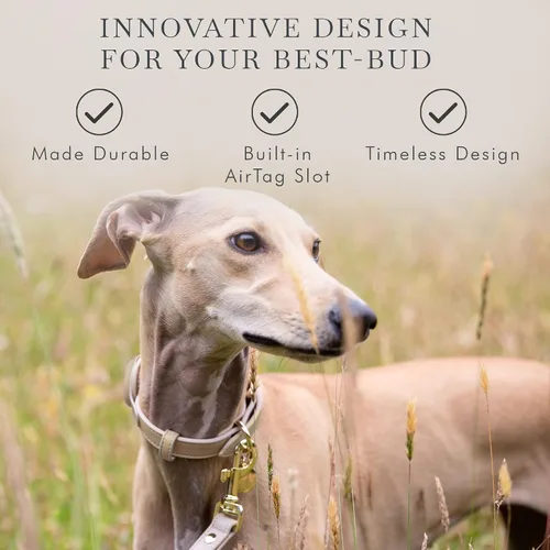 Miniatura 7 de Collares, arneses y correas para perros Nina Woof de Cupertino, fabricados con cuero vegano con soporte para dispositivo de seguimiento de perros