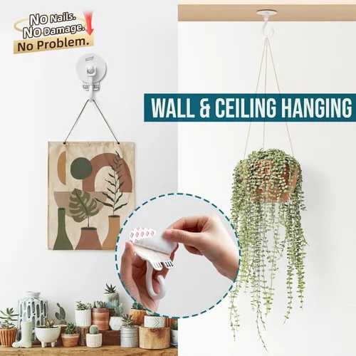 Miniatura 5 de TAILI Ganchos adhesivos de techo para plantas colgantes, resistentes sin taladros, ganchos de pared adhesivos extraíbles para colgar luces