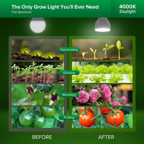 Miniatura 5 de SANSI Bombillas de Luz de Crecimiento de 32W para Plantas de Interior, Equivalente a 350W Bombilla LED de Luz de Crecimiento de Espectro Completo