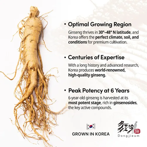 Miniatura 5 de Ginseng rojo coreano (raíz de 6 años) (ginsenósido mejorado) 120 cápsulas veganas
