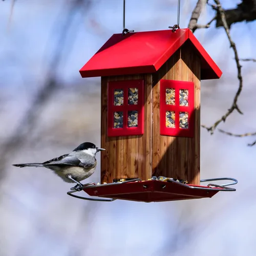 Miniatura 5 de Kingsyard Adorables Comederos para Pájaros para Exteriores, Comedero de Pájaros Colgante de Metal con 4 Puertos, Decoraciones de Jardín al Aire