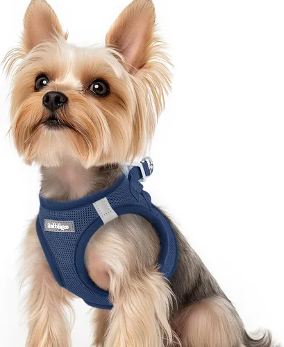 Miniatura 10 de rabbitgoo Arnés para perro pequeño, chaleco de malla suave para cachorros con hebilla de seguridad, arnés reflectante transpirable para mascotas