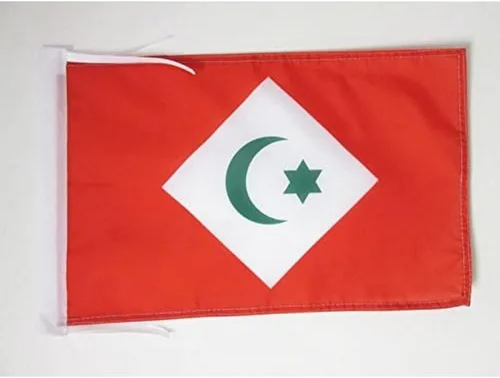 Miniatura 222 de Bandera de México AZ FLAG, 45.7 x 30.5 cm, con cordones - Pequeñas banderas mexicanas de 30 x 45 cm - Bandera de 45.7 x 30.5 cm