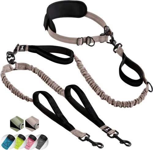 Miniatura 21 de SparklyPets Double Bungee Waist 2 Dog Leash with Back Brace – Dual Dog Leash for Medium/Large Breeds – Running Belt Fanny Pack with Phone, Waste