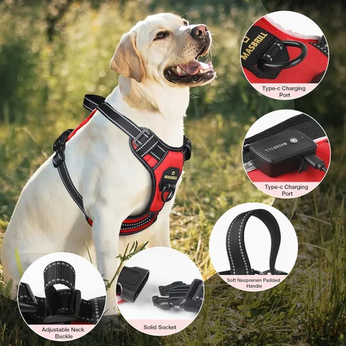 Miniatura 3 de MASBRILL Arnés iluminado para perro, sin tirones, arnés LED brillante con asa, ajustable para perros pequeños a grandes Rojo