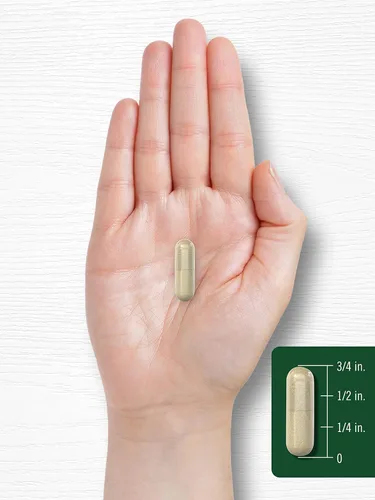 Miniatura 7 de Carlyle Cápsulas de verdolaga 500mg 120 unidades Extracto de Portulaca Oleracea Suplemento sin OGM, sin gluten