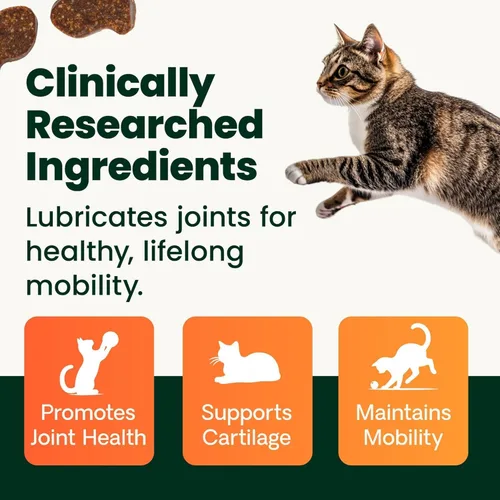 Miniatura 5 de VetriScience Laboratories GlycoFlex 3, Suplemento para cadera y articulaciones de gatos, 60 pastillas de tamaño masticable