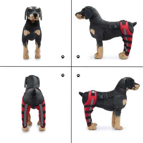 Miniatura 3 de Rodillera ajustable para perro con doble pierna trasera con bisagras de metal soporte flexible y cinturones de seguridad reflectantes, soporte