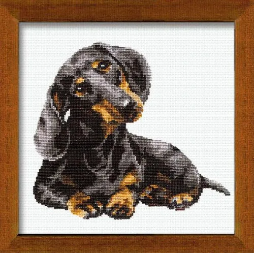 RIOLIS - Perro salchicha 906, kits de punto de cruz para perros de 9,84 x 9,84 pulgadas, kits de punto de cruz contado, kits de punto de cruz para