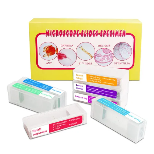 Miniatura 8 de Diapositivas de microscopio preparadas para niños, 48 piezas de animales de plástico, insectos, plantas, flores, muestras de muestras para 48