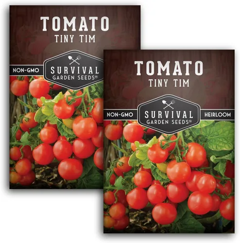 Tiny Tim Semillas de tomate – Tomates cherry enanos para plantar en interiores o patio, variedad de reliquia compacta para contenedores, alto