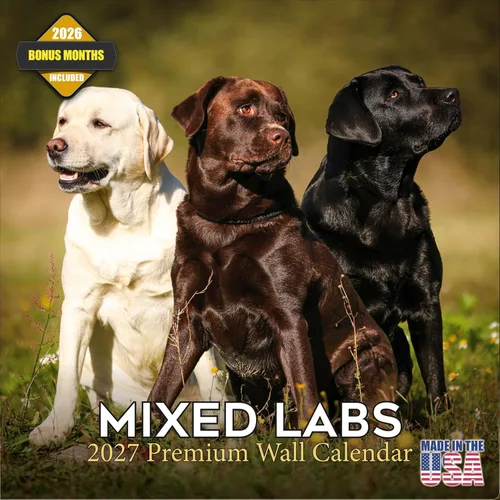 Miniatura 135 de Calendario 2025 2026 de cachorros Cocker Spaniel - Calendario mensual de pared de raza de perro - 12" x 24" abierto - Papel grueso sin sangrado