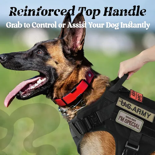 Miniatura 5 de rabbitgoo - Arnés táctico para perros pequeños, arnés resistente para mascotas con asa, chaleco de servicio sin tirones para razas pequeñas, chaleco