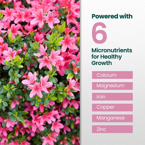 Miniatura 4 de Fertilizante de azalea de 16 onzas para exteriores, hace 16 galones de alimento vegetal de azalea, fertilizante líquido para plantas amantes