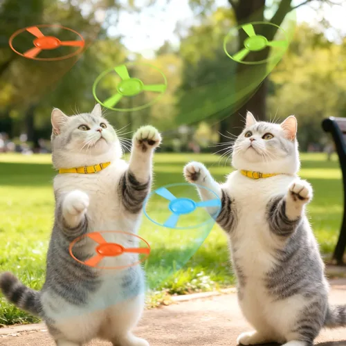 Miniatura 3 de 1 Unidades Divertido Gato Fuera Del Gatito Lanzador Pistas De Gato Platillo Lanzador De Discos Disparo Interior Interactivo Juguete Volador Disco