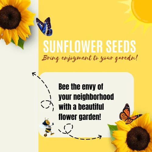 Miniatura 4 de Semillas de girasol de mamut para plantar, para plantar alrededor de 500 girasoles gigantes, paquete a granel de semillas de girasol, semillas