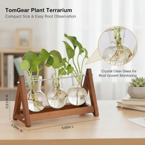 Miniatura 2 de Terrario para plantas con soporte de madera, jarrón de vidrio de 3 bombillas, soporte de metal, maceta hidropónica retro para decoración de hogar