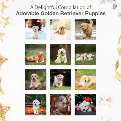 Miniatura 3 de RED EMBER Golden Retriever Puppies - Calendario de pared 2026 de 12 meses 12 x 24 pulgadas abierto Papel grueso y resistente Regalo