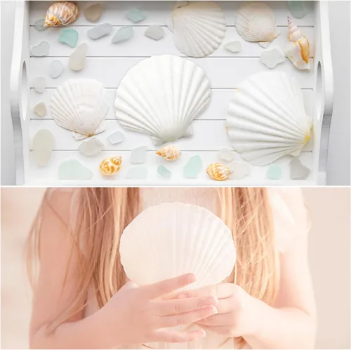 Miniatura 4 de Jangostor 16 conchas de vieira natural, conchas de vieira blancas de 4 a 5 pulgadas, conchas marinas grandes para manualidades, decoración de boda