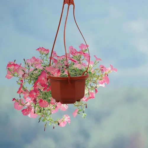 Miniatura 2 de DOITOOL Macetas colgantes de plástico con gancho para plantas Chlorophytum Octogonal Ventilado Root Plantador para Balcón Jardín Decoración