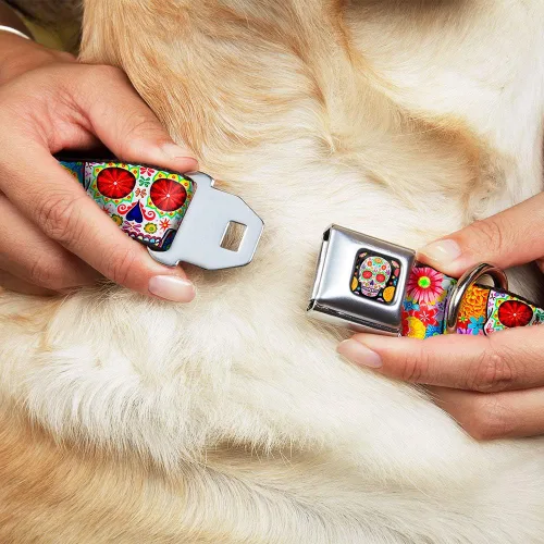 Miniatura 8 de Collar de perro hebilla de cinturón de seguridad Sugar Skull Starburst blanco multicolor 13 a 18 pulgadas 1.5 pulgadas de ancho