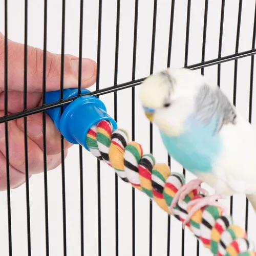 Miniatura 5 de PENN-PLAX Bird Life - Percha de cuerda multicolor y flexible, crea curvas y curvas divertidas y coloridas, ideal para pájaros pequeños y medianos