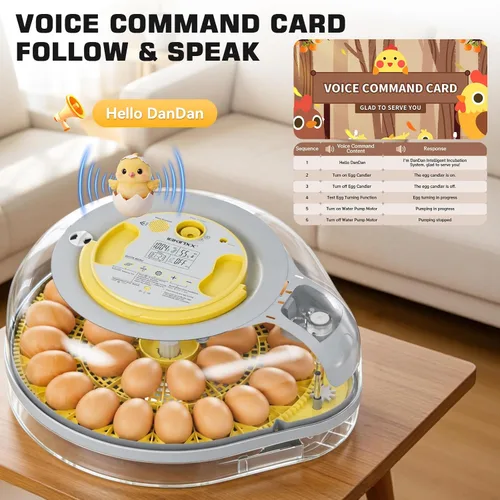 Miniatura 2 de IBKINXX Incubadora de 26 huevos para incubar huevos con guía de voz inteligente, vista de 360° con control automático de temperatura y humedad, giro