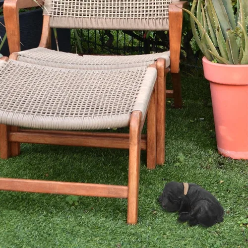 Miniatura 8 de Baluue Oculta una llave afuera, ocultador de llave de repuesto para perro negro, resistente a la intemperie, de resina segura, caja