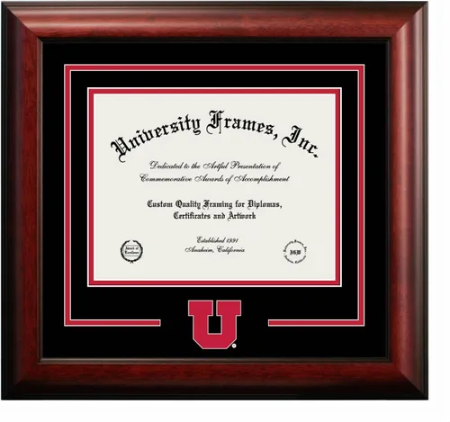Miniatura 14 de Marco de Diploma Spirit NCAA