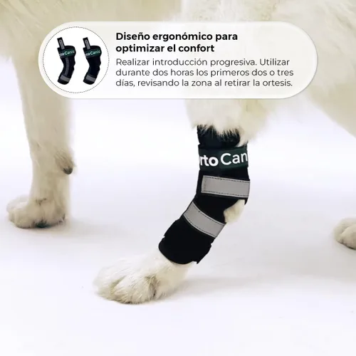 Miniatura 5 de Ortocanis Férula de Hock para perros - inmoviliza. Protege. Apoya el tobillo - Férulas flexibles extraíbles.