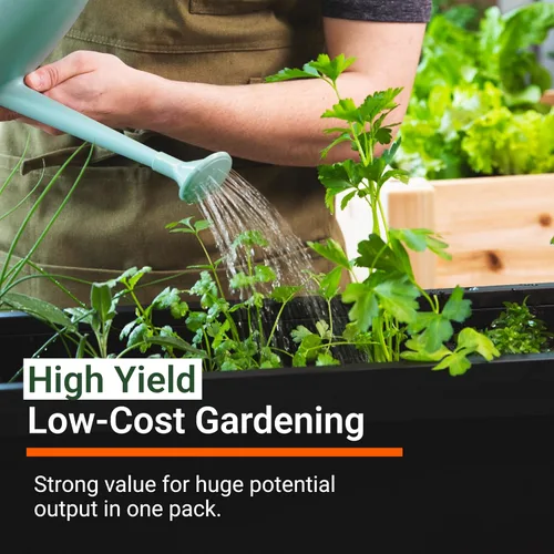 Miniatura 4 de Survival Gear, 15.000 semillas orgánicas Heirloom sin OMG, semillas para plantar verduras y frutas Comida de supervivencia para tu kit