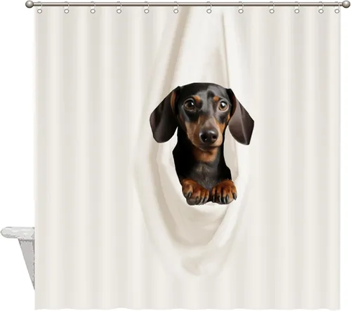 Cortinas de ducha clásicas divertidas – Dachshund descansando en tela blanca colgada de poliéster tela de poliéster decoración de baño con ganchos,