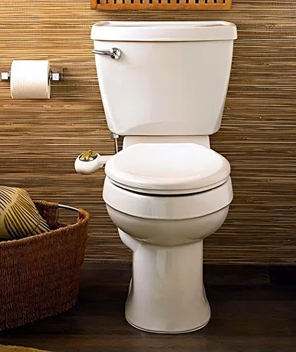 Miniatura 5 de BOSS Bidé Bold baño Attachment limpie su tushy función dual Nozzle Self Limpieza pulverizador se coloca en 15 minutos Color Blanco y Dorado