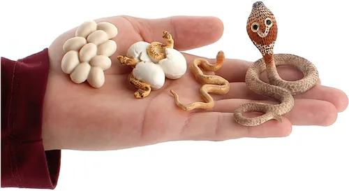 Miniatura 3 de Montessori Life Cycle Animal Insect Figurines Juguetes de aprendizaje y educación, juguetes de insectos de plástico para niños, actividades