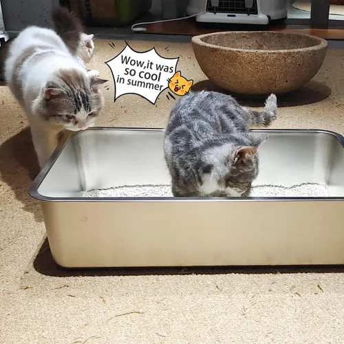 Miniatura 6 de LIHONG Caja de arena de acero inoxidable para gatos, caja de arena de metal extra grande para gatos grandes, gatitos, conejos, sin olor, 6 pulgadas
